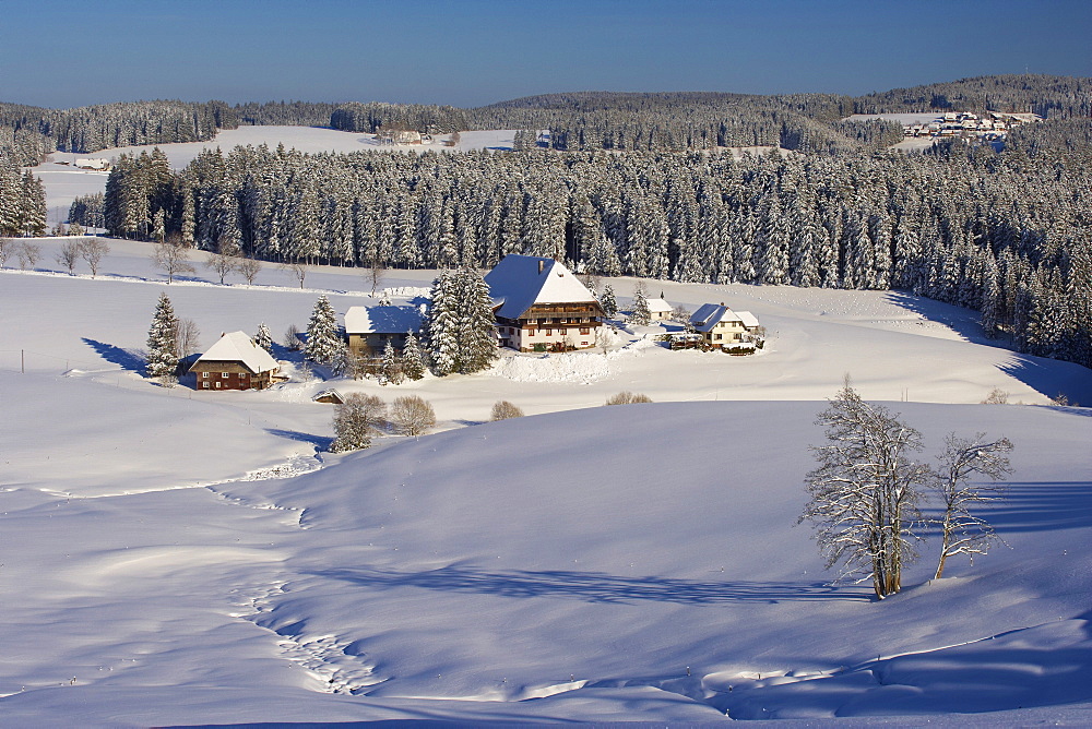 View at Unterfallengrundhof (farmhouse) close to Guetenbach on a Winter's day, Near Furtwangen, Black Forest, Baden-Wuerttemberg, Germany, Europe