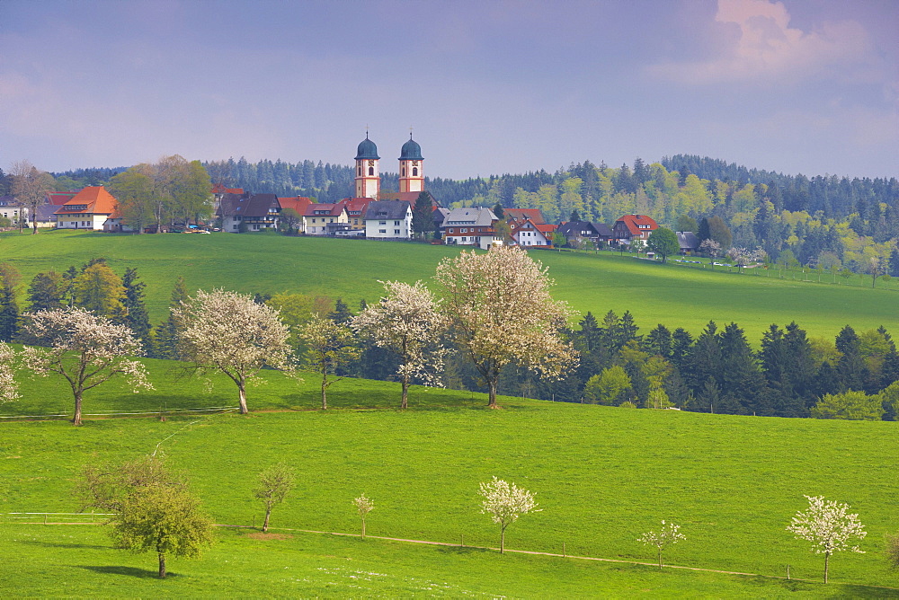 Spring day at St. Maergen, Black Forest, Baden-Wuerttemberg, Germany, Europe