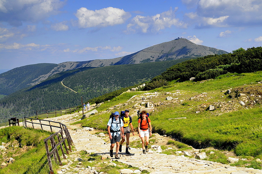 Hikers on a sunlit hiking trail in front of the Schneekoppe, Bohemian mountains, Lower Silesia, Poland, Europe