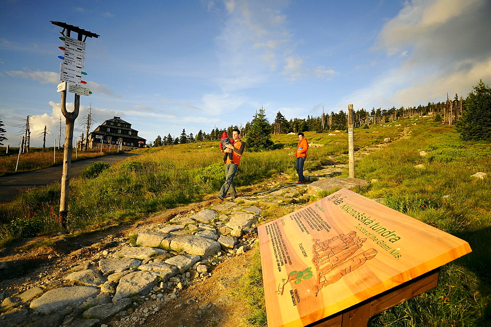 Hikers with child at Slenskesedlo-Pass in the sunlight, Bohemian mountains, east-bohemian, Czech Republic, Europe