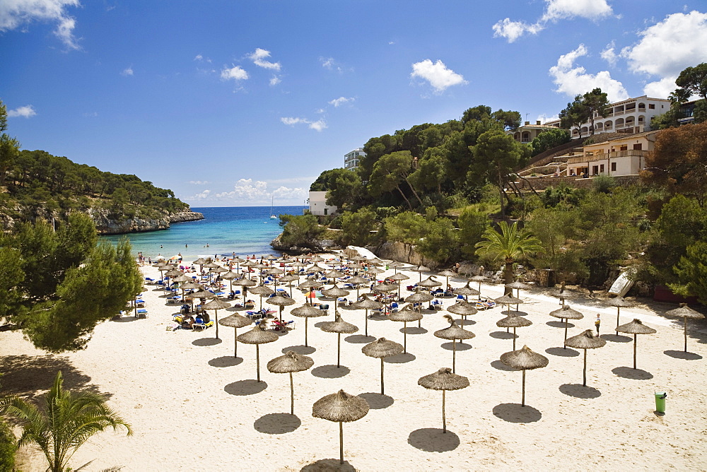 Sandy beach with sunshades at the bay of Cala Santanyi, Mallorca, Balearic Islands, Spain, Europe