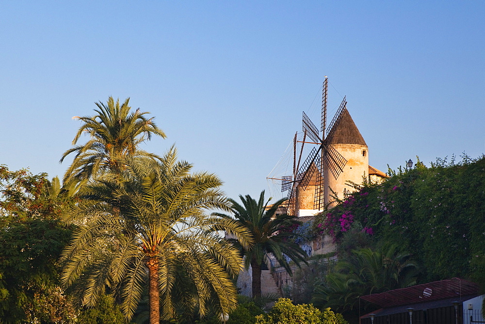 Historic windmills of Es Jonquet with city wall at the Old Town of Palma, Mallorca, Balearic Islands, Mediterranean Sea, Spain, Europe