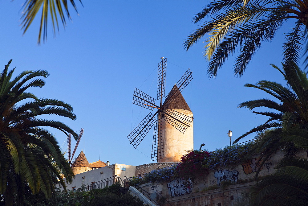 Historic windmills of Es Jonquet with city wall at the Old Town of Palma de Mallorca, Mallorca, Balearic Islands, Mediterranean Sea, Spain, Europe