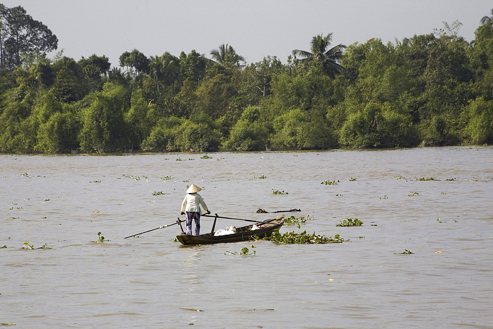 Vietnamese woman on a boat on the Mekong River, Mekong Delta, Can Tho Province, Vietnam, Asia