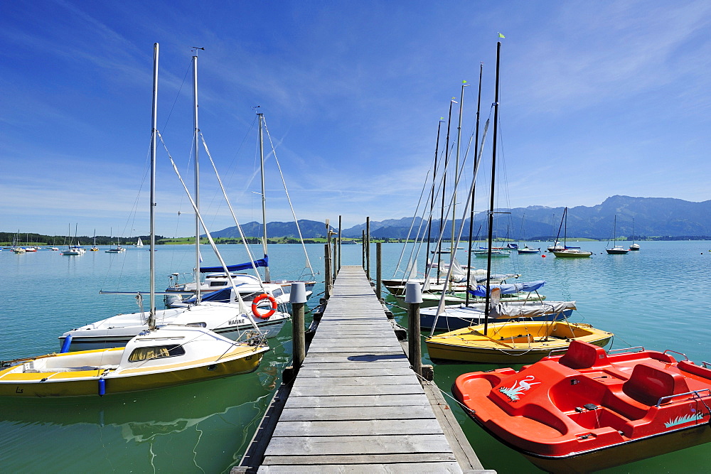 Landing stage with boats, lake Forggensee, Ammergau Alps, East Allgaeu, Bavaria, Germany