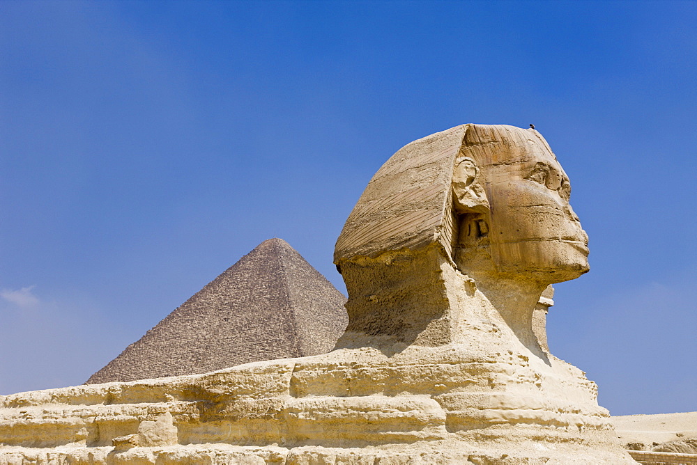 Great Sphinx of Giza against Cheops Pyramid, Egypt, Cairo