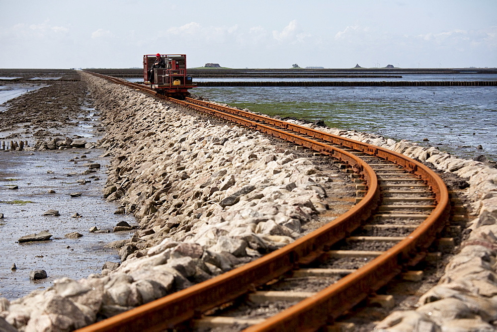 Narrow-gauge railway Feldbahn to Nordstrandischmoor, Beltringharder Koog, Luettmoorsiel, Nordstrand, Schleswig-Holstein, Germany