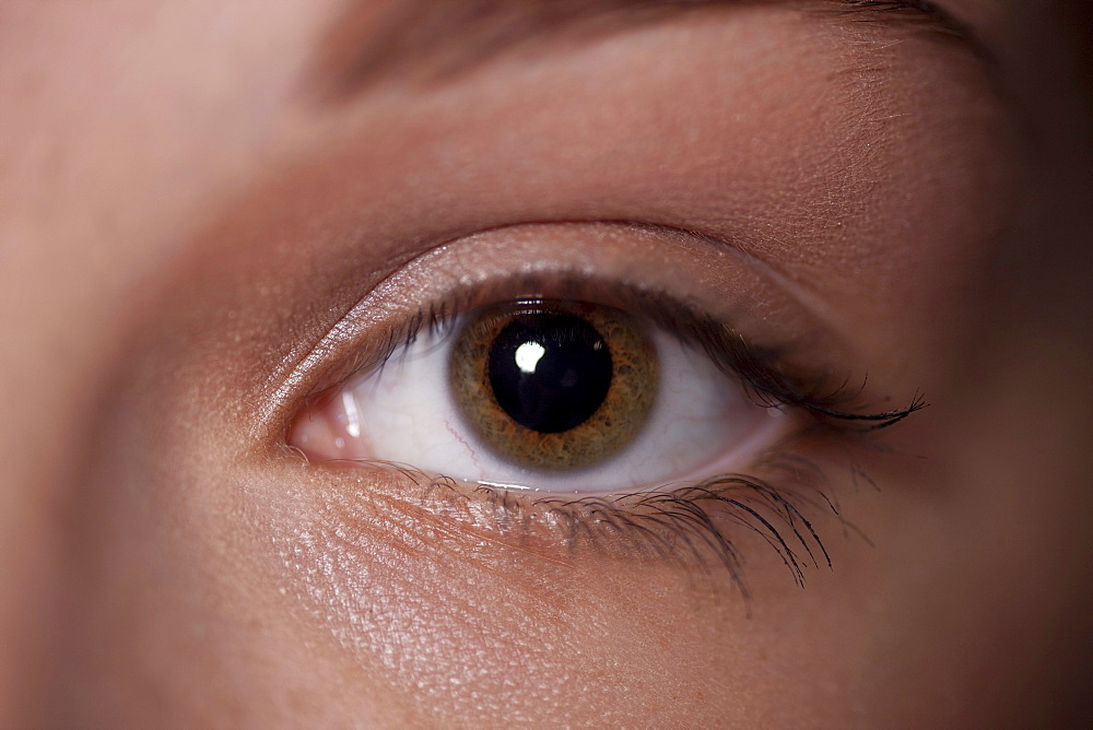 eye of a woman, close up