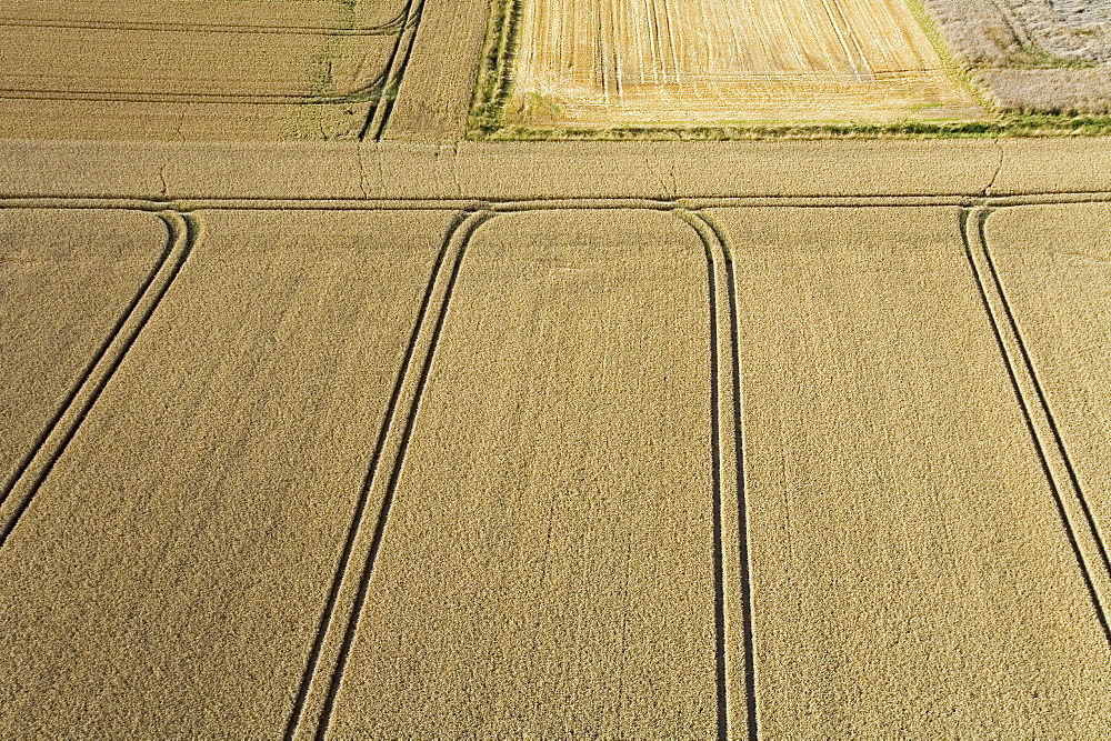 aerial view of fields, region Hanover, Lower Saxony, northern Germany