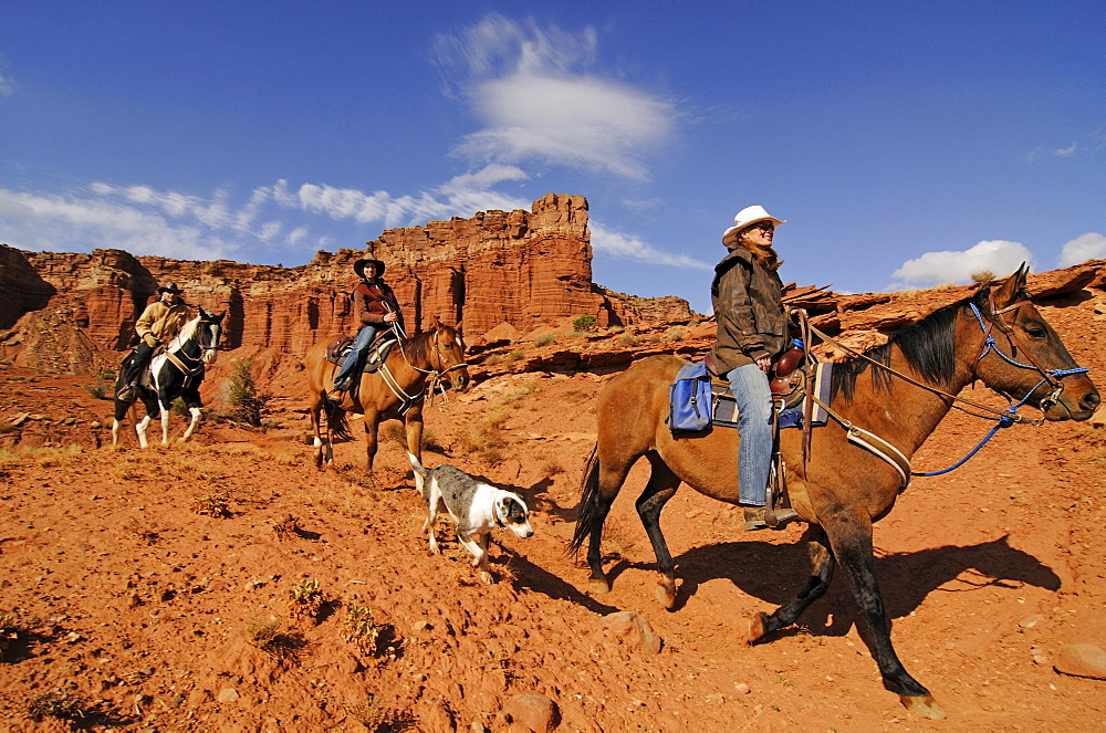 Horse riding, Torrey, Capitol Reef National Park, Utah, USA