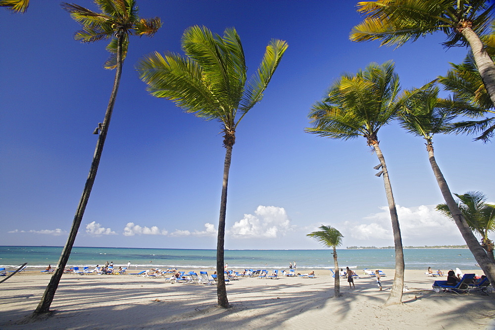 People and palm trees at the beach under blue sky, Isla Verde, Puerto Rico, Carribean, America