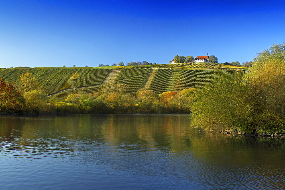 View over Main river to vineyards and Vogelsburg abbey, Volkach, Franconia, Bavaria, Germany