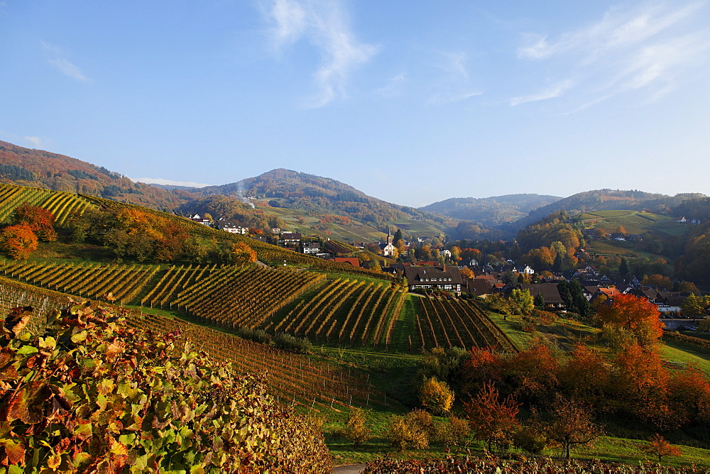 View over Sasbachwalden in autumn, Sasbachwalden, Baden-Wurttemberg, Germany