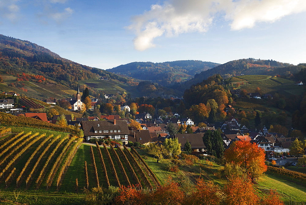 View over Sasbachwalden in autumn, Sasbachwalden, Baden-Wurttemberg, Germany