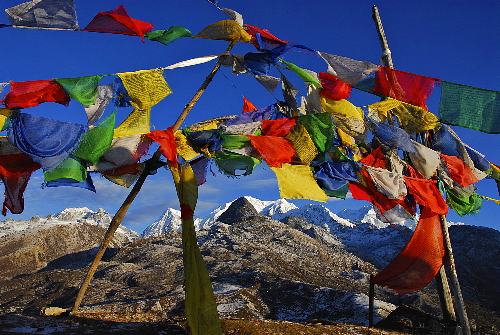 Colourful prayer flags in front of blue sky at Dzongri La, Trek towards Gocha La in Kangchenjunga region, Sikkim, Himalaya, Northern India, Asia