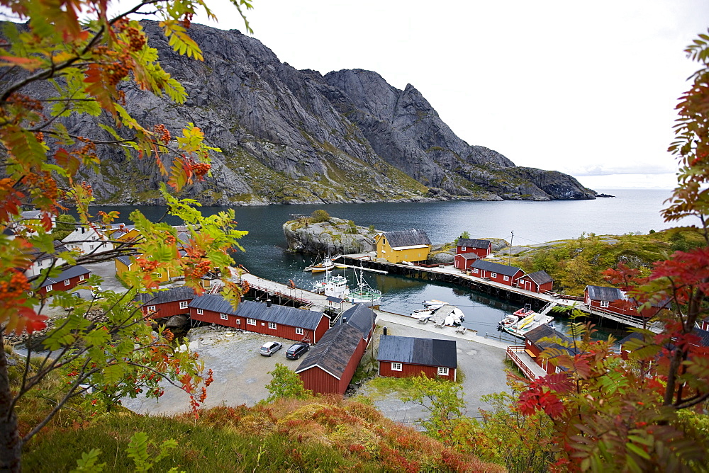 View at rorbu huts at Nusfjord, Lofoten, Norway, Scandinavia, Europe