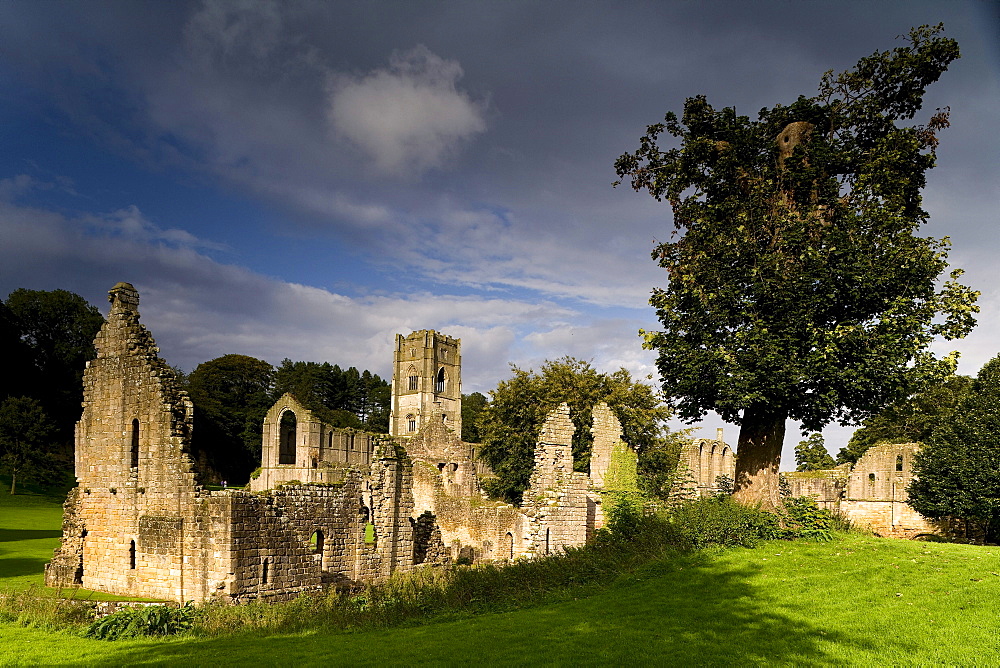 Fountains Abbey, Ripon, North Yorkshire, England, Great Britain, Europe, Fountains Abbey is one of the largest and best preserved Cistercian houses in England. It is a Grade I listed building and owned by the National Trust. It is a UNESCO World Heritage Site.