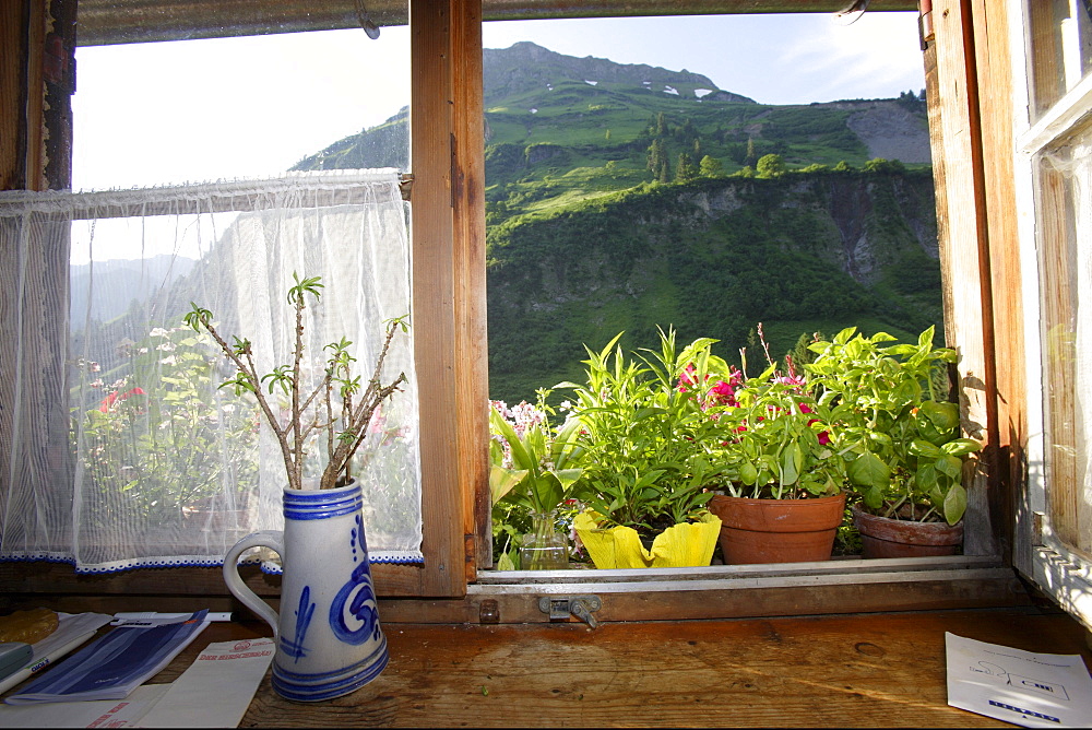 View out of kitchen window at Laufbichl Alpe, Hintersteiner Tal, Bad Hindelang, Allgau, Swabia, Bavaria, Germany