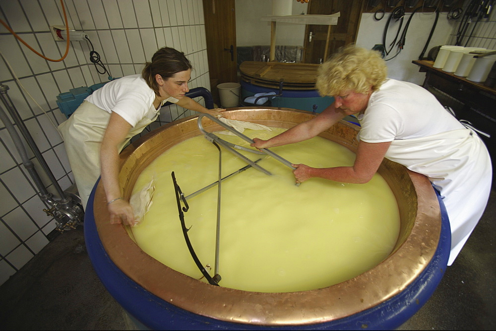 Producing cheese at the Laufbichl Alpe alpine dairy, Hintersteiner Tal, Bad Hindelang, Allgau, Swabia, Bavaria, Germany