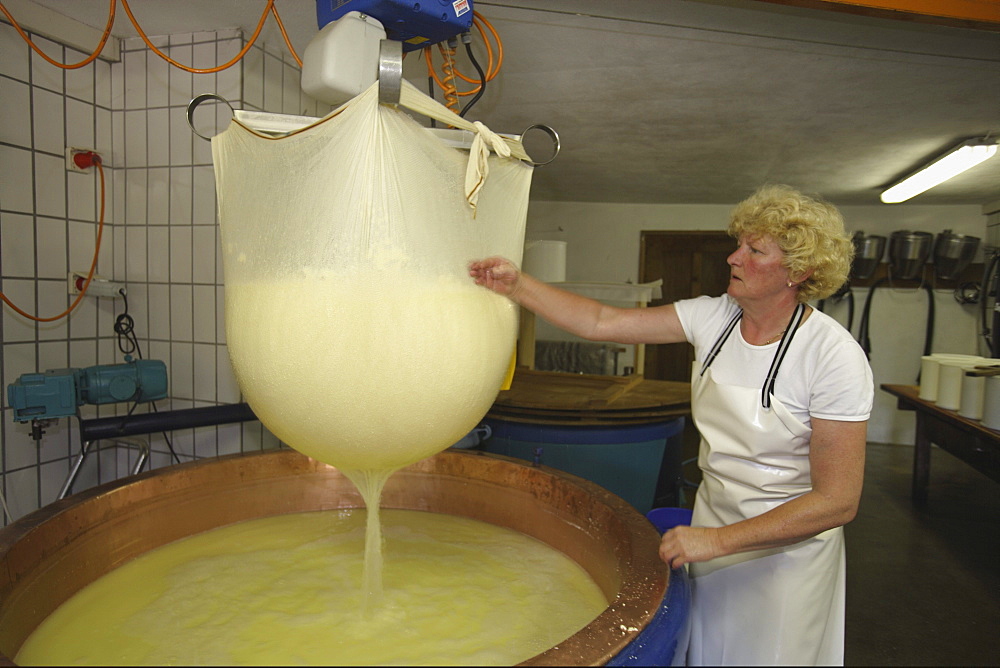 Producing cheese at the Laufbichl Alpe alpine dairy, Hintersteiner Tal, Bad Hindelang, Allgau, Swabia, Bavaria, Germany