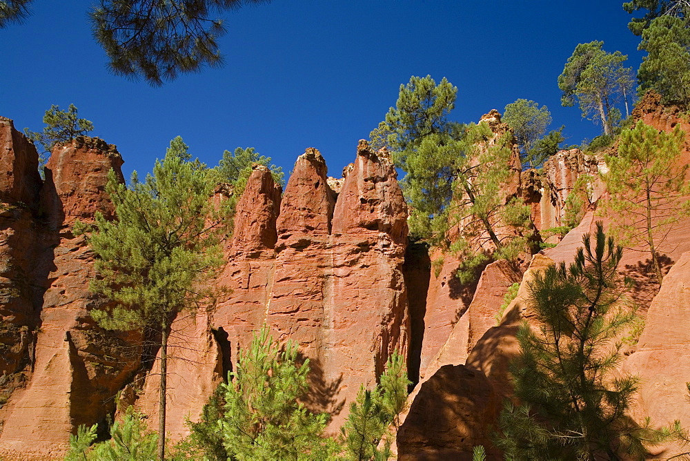 Ochre quarry in the sunlight, Roussillon, Vaucluse, Provence, France