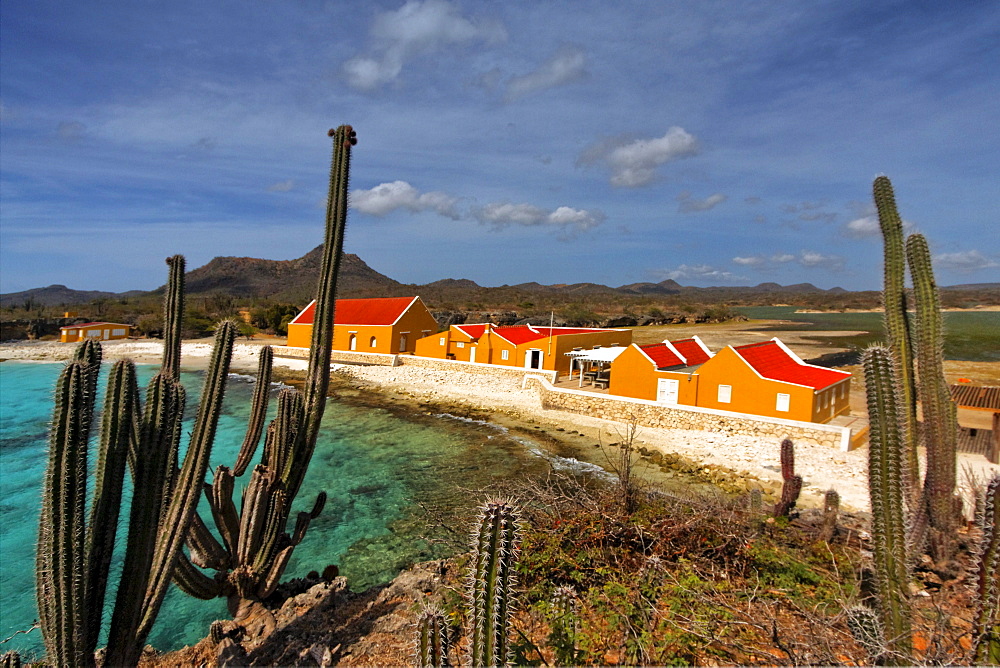 West Indies, Bonaire, Boca Slagbaai, Washington National Park