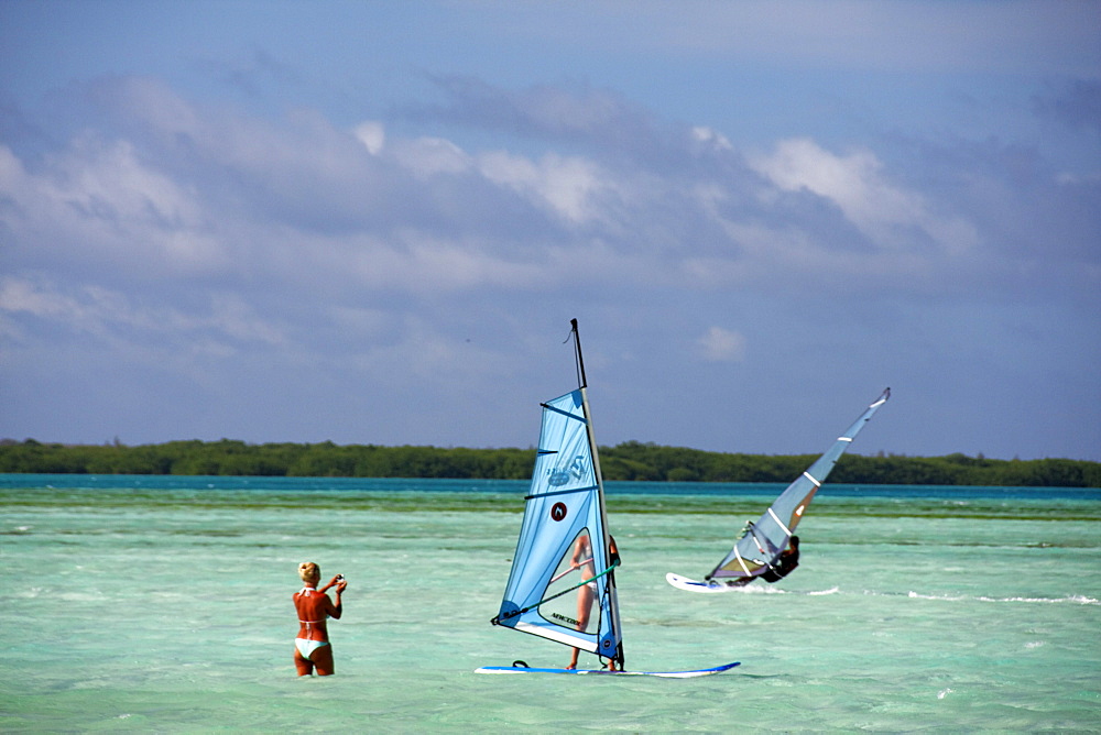 West Indies, Bonaire, Lac Bay Surfer