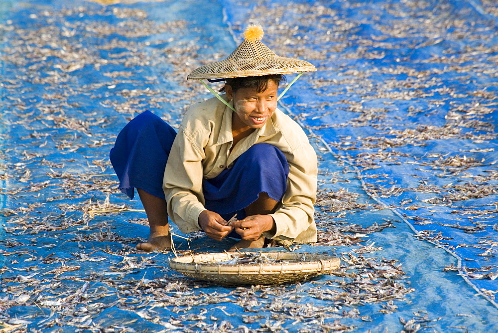 Woman drying fish near Ngapali Beach, Gulf of Bengal, Rakhine State, Myanmar, Burma