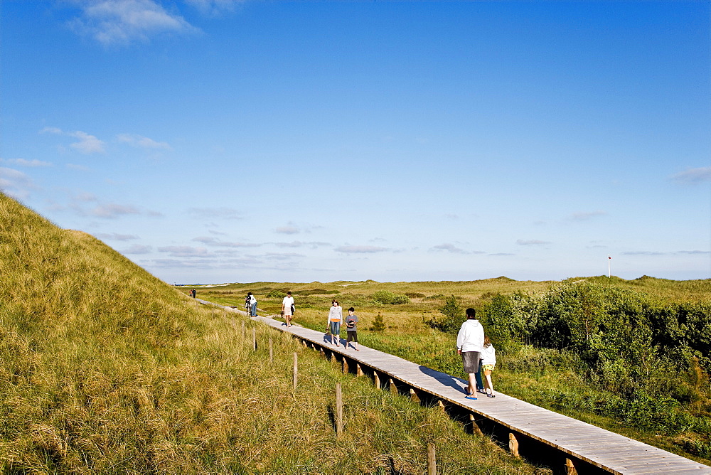 Wooden Path in Dunes, Amrum Island, North Frisian Islands, Schleswig-Holstein, Germany