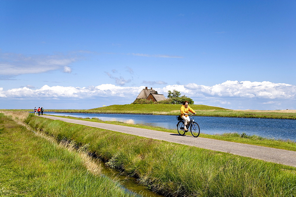 Cyclists, Holm Church, Hallig Hooge, North Frisian Islands, Schleswig-Holstein, Germany