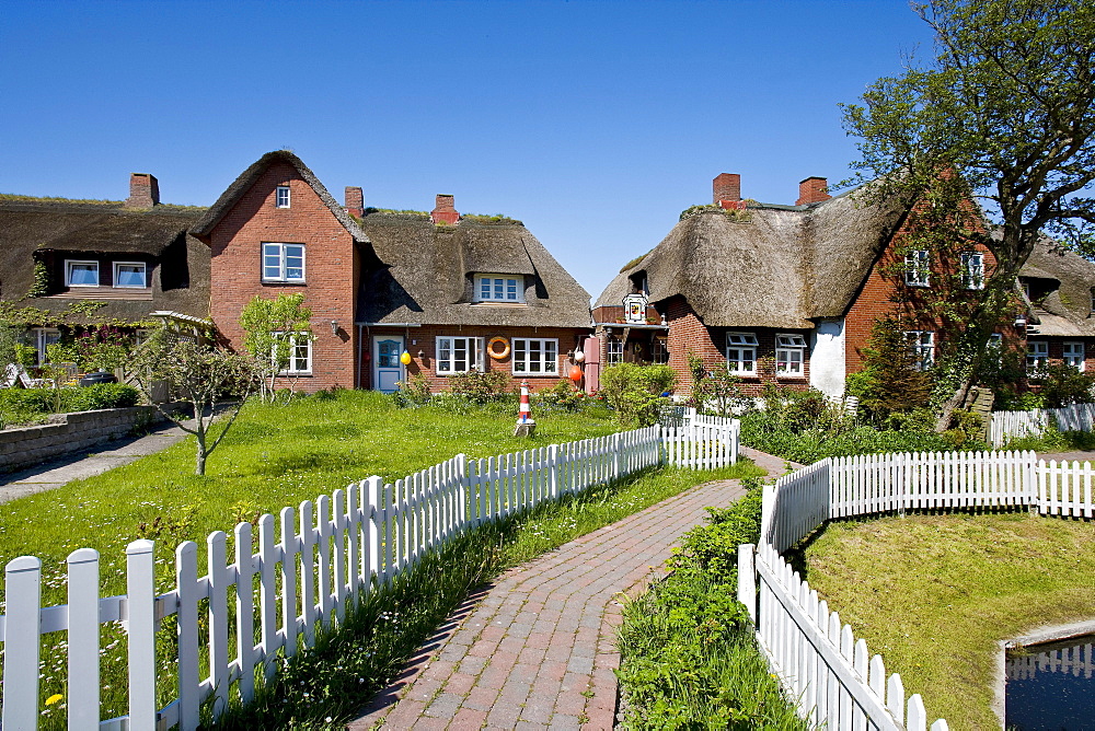 Village on Hallig Oland, North Frisian Islands, Schleswig-Holstein, Germany