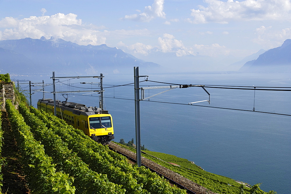 Train de Vignes, Lavaux, Canton of Vaud, Switzerland