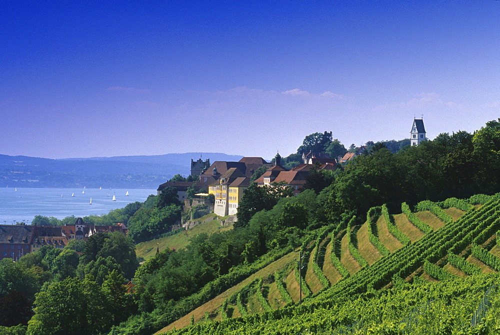 View over vineyards at the houses of Meersburg, Lake Constance, Baden Wurttemberg, Germany