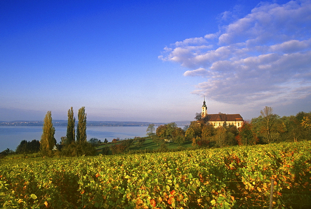 View over vineyards at pilgrimage church of Birnau abbey, Lake Constance, Baden Wurttemberg, Germany