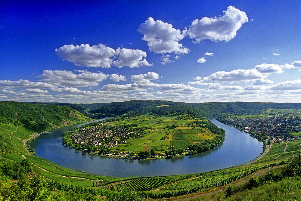 View from the vineyards to Mosel sinuosity near Kroev, Mosel, Rheinland-Palatinate, Germany