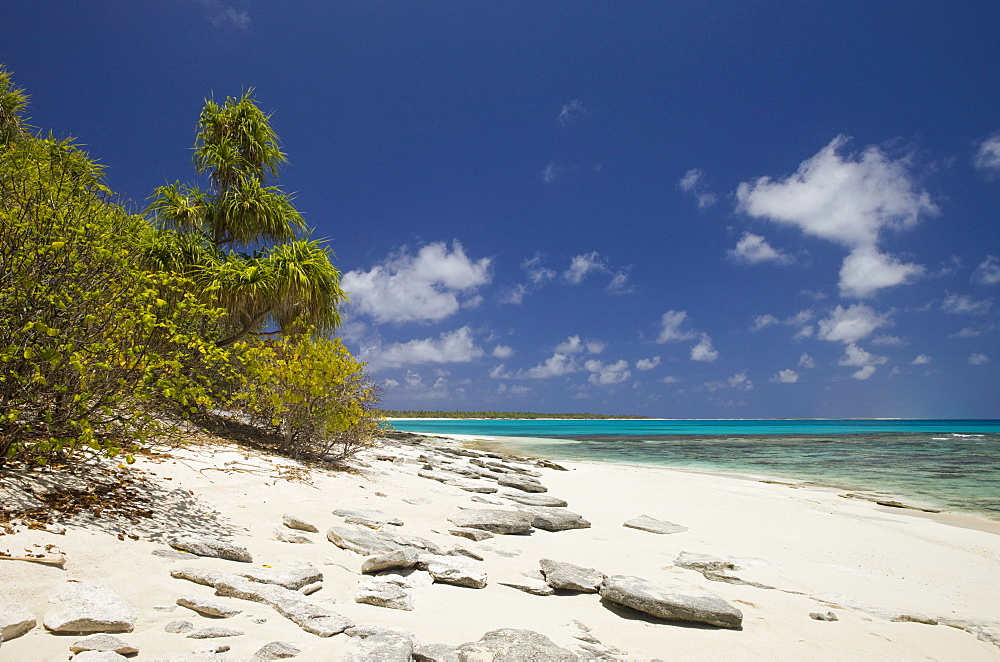 Beach and Lagoon of Bikini, Marshall Islands, Bikini Atoll, Micronesia, Pacific Ocean