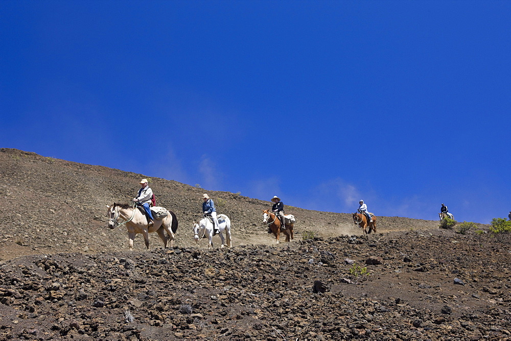 Horse Riding at Crater of Haleakala Volcano, Maui, Hawaii, USA