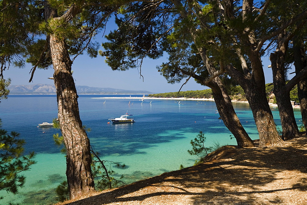 View through pines at a sunlit bay, Golden Horn, Bol, Brac Island, Dalmatia, Croatia, Europe