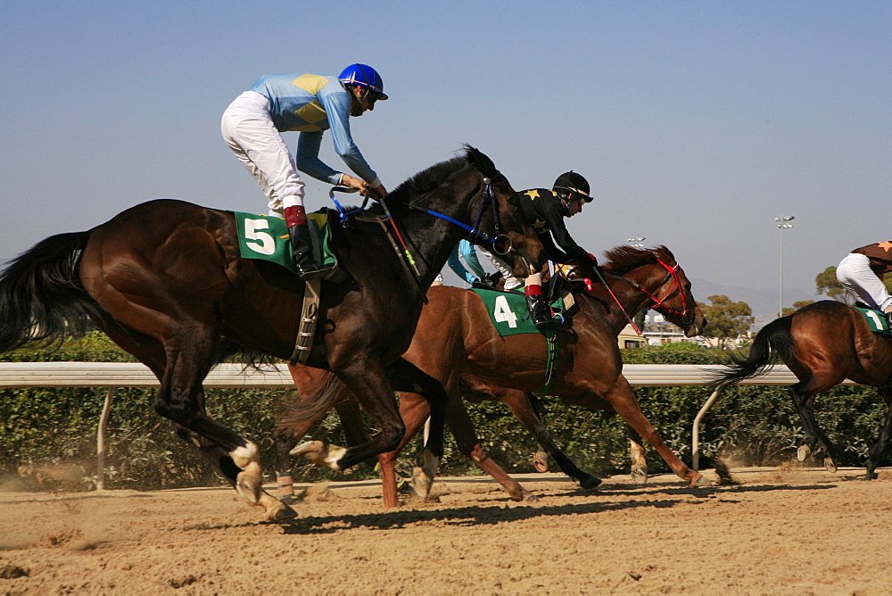 Jockeys riding race horses at a horse race, Nicosia, Lefkosia, South Cyprus, Cyprus