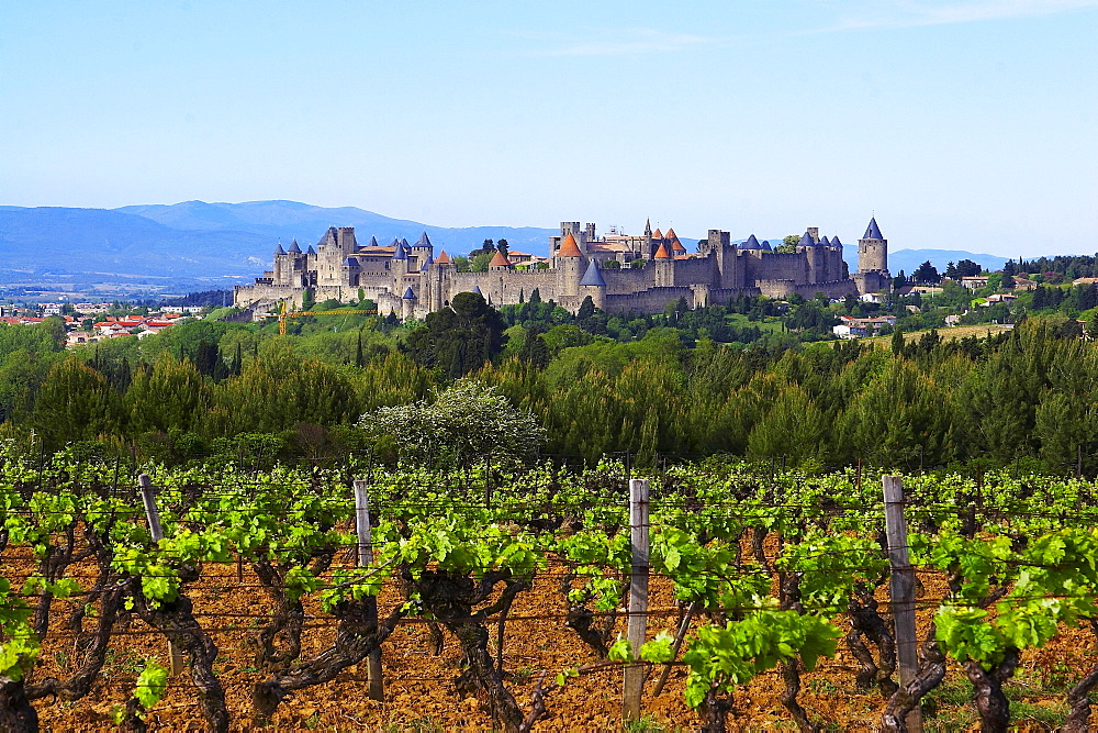 View of Carcassonne, La CitâˆšÃ‰Â¬Â©, Citadel with city walls, The Way of St. James, Roads to Santiago, Via Tolosana, Chemins de St. Jacques, Carcassonne, Dept. Aude, RâˆšÃ‰Â¬Â©gion Languedoc-Roussillon, France, Europe