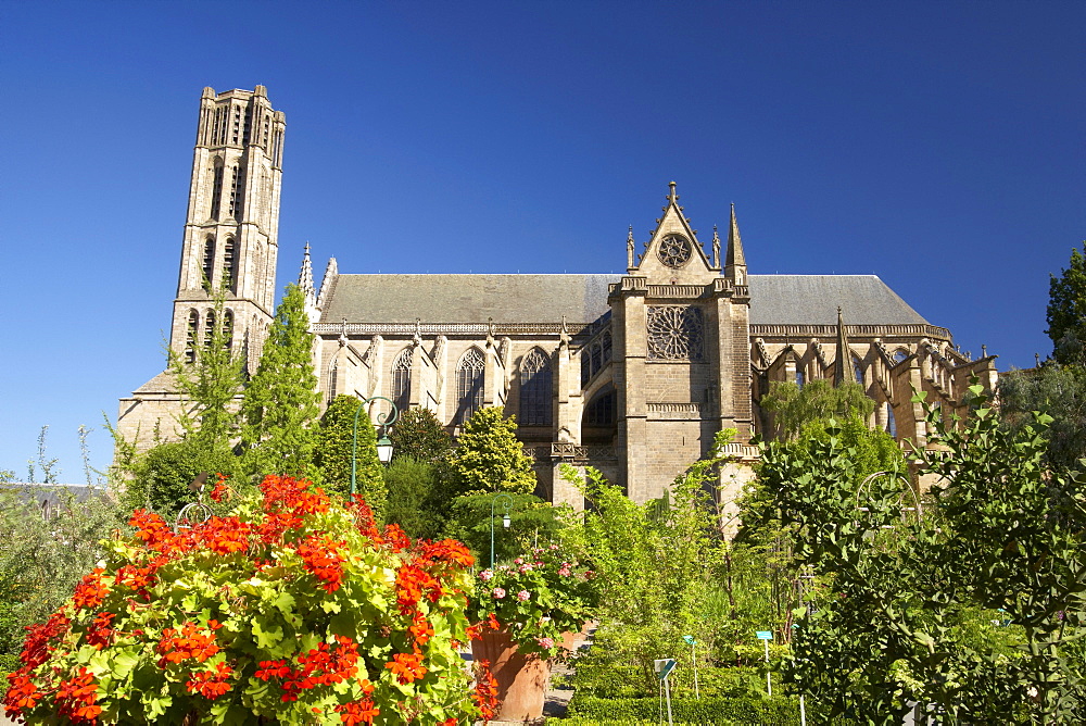 The Cathedral of Limoges, Saint Etienne Cathedral in the morning light, Jardin Botanique de l'EvechâˆšÃ‰Â¬Â©, The Way of St. James, Chemins de Saint-Jacques, Via Lemovicensis, Limoges, Dept. Haute-Vienne, RâˆšÃ‰Â¬Â©gion Limousin, France, Europe