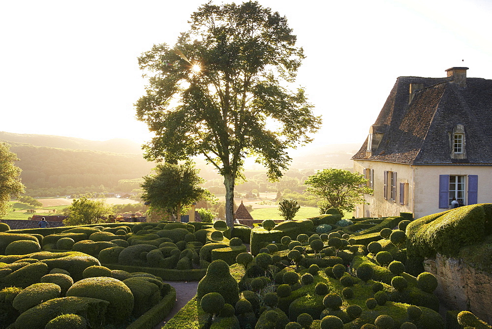 Les Jardins de Marqueyssac at sunset, near Beynac, The wy of St. James, Road to Santiago, Chemins de Saint-Jacques, Via Lemovicensis, Beynac, Dept. Dordogne, RâˆšÃ‰Â¬Â©gion Aquitaine, France, Europe