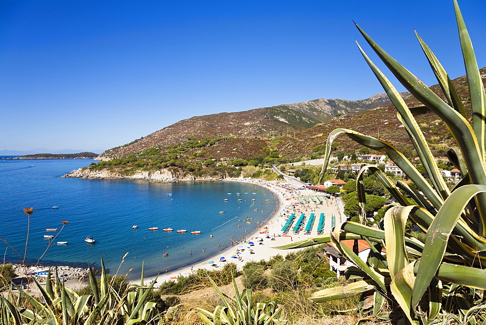 Bay of Cavoli, Elba, Italy