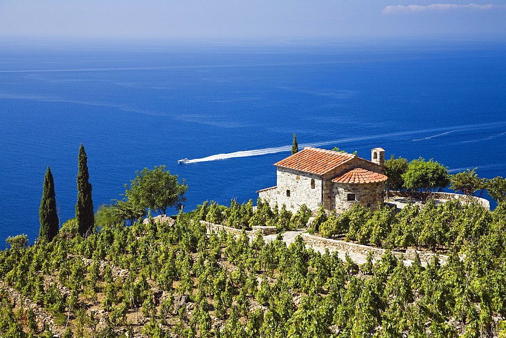 Small villa and vineyard above the coast near Colle d'Orano, Elba, Italy