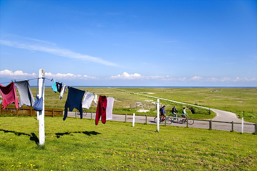 Clotheline, Hooge hallig, North Frisian Islands, Schleswig-Holstein, Germany