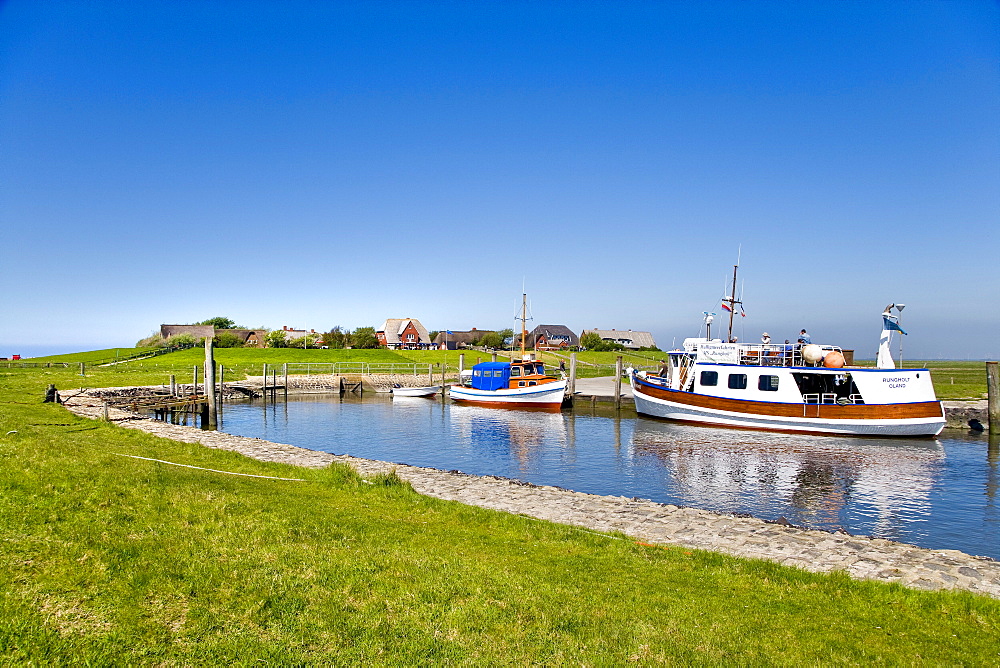 Boats in harbor, Oland hallig, North Frisian Islands, Schleswig-Holstein, Germany