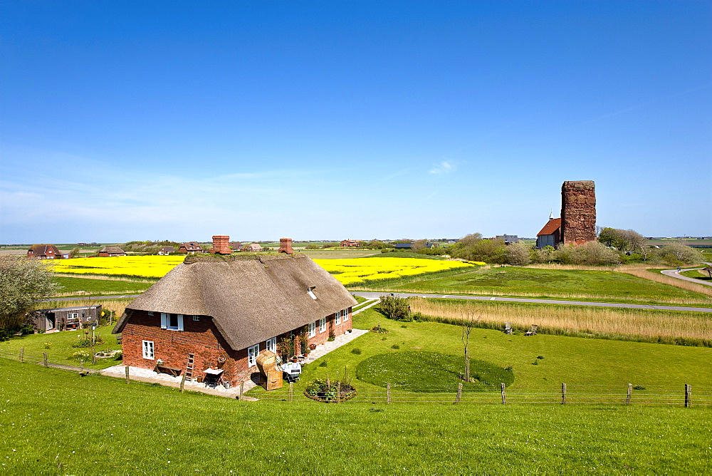 St. Salvator church and thatched house, Pellworm Island, North Frisian Islands, Schleswig-Holstein, Germany