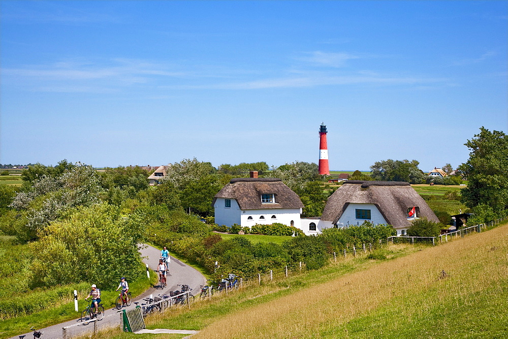 Thatched houses and lighthouse, Pellworm Island, North Frisian Islands, Schleswig-Holstein, Germany