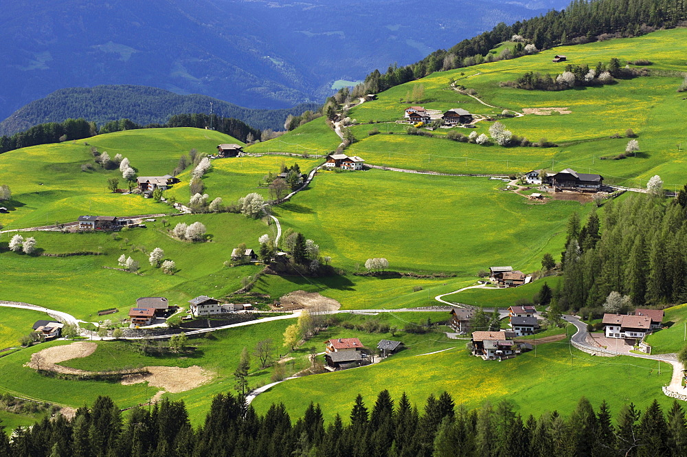 View at houses at a green valley, Kastelruth, South Tyrol, Italy, Europe