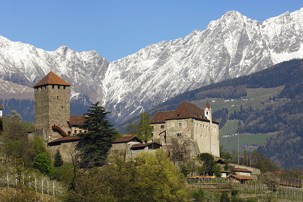 Tyrol castle in spring in front of snow covered mountains, Burggrafenamt, Etsch valley, South Tyrol, Italy, Europe